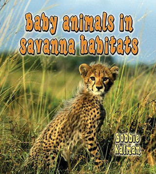 Kniha Baby Animals in Savanna Habitats Bobbie Kalman