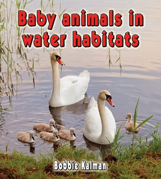 Carte Baby Animals in Water Habitats Bobbie Kalman