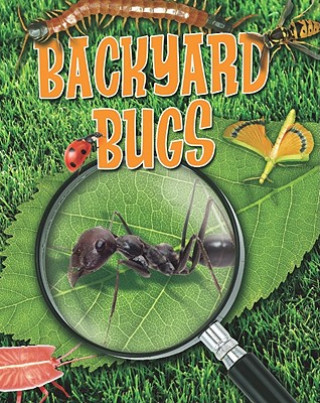 Buch Backyard Bugs Louise A. Spilsbury