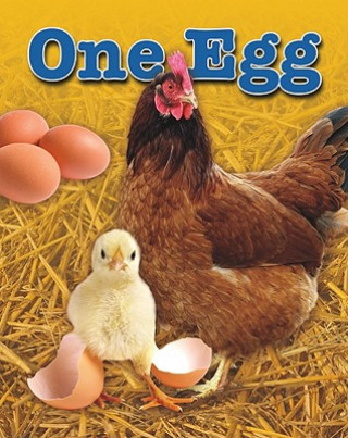 Βιβλίο One Egg Louise A. Spilsbury