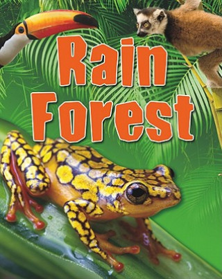Kniha Rain Forest Sarah Levete