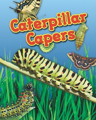 Knjiga Caterpillar Capers Louise A. Spilsbury