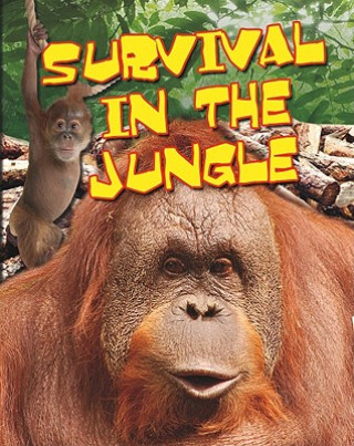Carte Survival in the Jungle Anita Ganeri