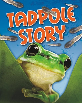 Книга Tadpole Story Angela Royston