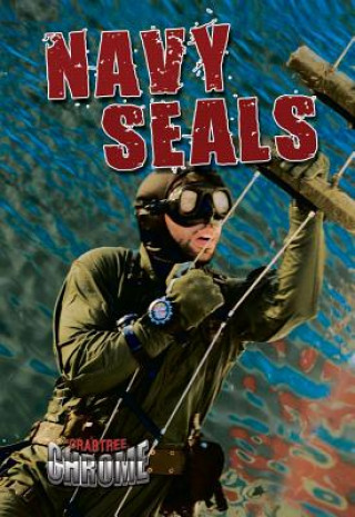 Kniha Navy Seals James Bow