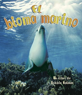 Carte El Bioma Marino Kathryn Smithyman