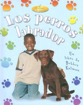 Kniha Los Perros Labradors = Labrador Retrievers Kelley MacAulay