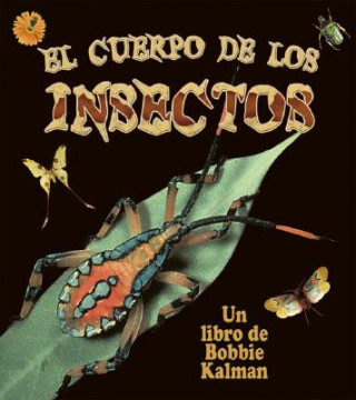 Kniha El Cuerpo de Los Insectos Molly Aloian