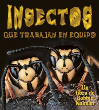 Buch Insectos Que Trabajan En Equipo Molly Aloian