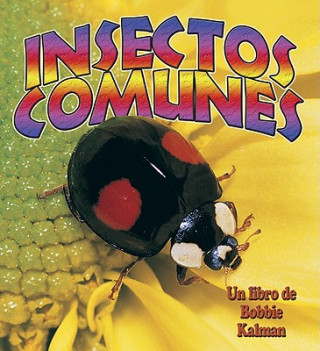 Carte Insectos Comunes Bobbie Kalman