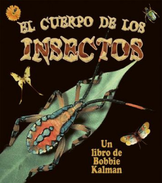 Könyv El Cuerpo de los Insectos = Insect Bodies Molly Aloian