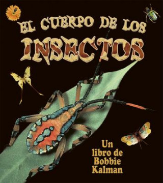 Kniha El Cuerpo de los Insectos = Insect Bodies Molly Aloian