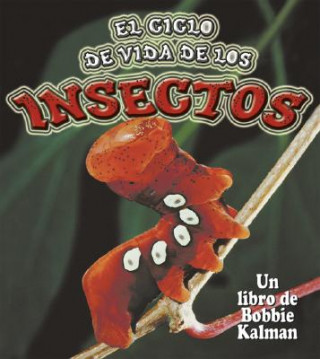 Kniha El Ciclo de Vida de los Insectos = Insect Life Cycles Molly Aloian