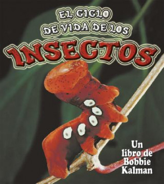 Książka El Ciclo de Vida de los Insectos = Insect Life Cycles Molly Aloian