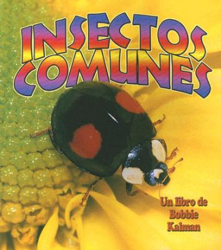 Book Insectos Comunes Bobbie Kalman