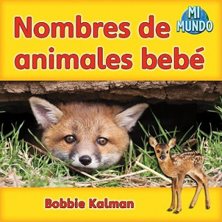 Buch Nombres de Animales Bebe Bobbie Kalman