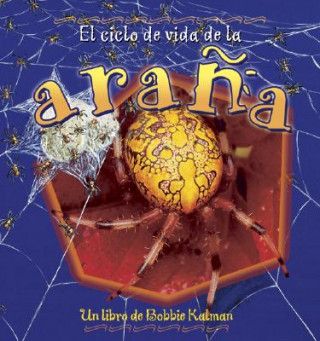 Könyv El Ciclo de Vida de la Arana Bobbie Kalman