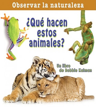 Libro Que Hacen Estos Animales? = What Are These Animals Doing? Bobbie Kalman