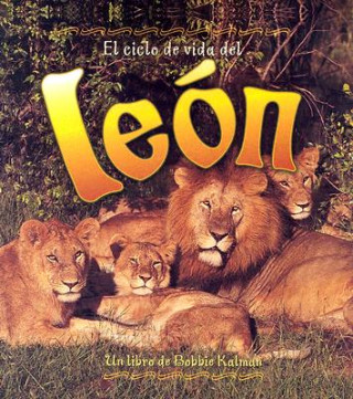 Carte El Ciclo de Vida del Leon = Life Cycle of a Lion Bobbie Kalman