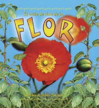 Carte El Ciclo de Vida de La Flor Molly Aloian