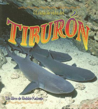 Könyv El Ciclo de Vida del Tiburon John Crossingham
