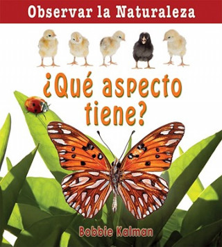 Könyv Que Aspecto Tiene? = How Does It Look? Bobbie Kalman