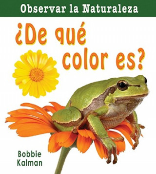 Kniha de Que Color Es? = What Color Is It? Bobbie Kalman