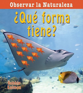 Boek Que Forma Tiene? = What Shape Is It? Bobbie Kalman