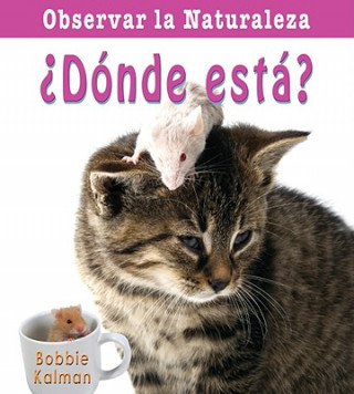 Buch Donde Esta? = Where Is It? Bobbie Kalman