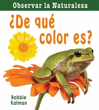 Livre De Que Color Es? = What Color Is It? Bobbie Kalman