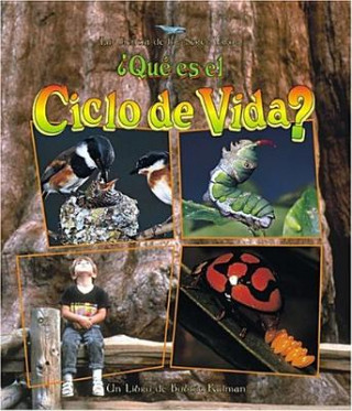 Buch Que Es el Ciclo de Vida? = What Is a Life Cycle? Bobbie Kalman