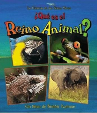 Carte Que Es el Reino Animal? = What Is the Animal Kingdom? Bobbie Kalman
