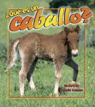 Libro Que Es un Caballo? Bobbie Kalman