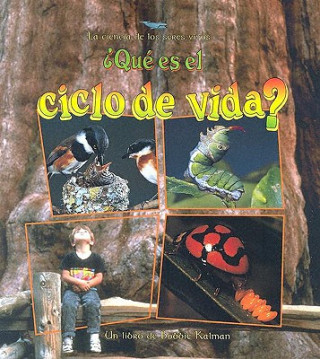 Buch Que Es el Ciclo de Vida? = What Is a Life Cycle? Bobbie Kalman