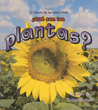 Kniha Que Son Las Plantas? Bobbie Kalman