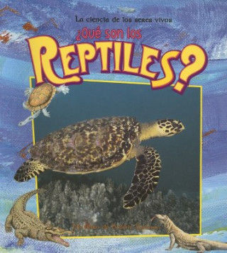 Buch Que Son Los Reptiles? Bobbie Kalman