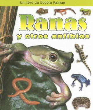 Книга Ranas y Otros Anfibios Bobbie Kalman