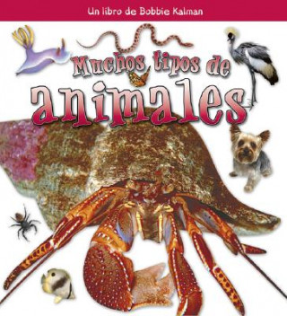 Book Muchos Tipos de Animales Molly Aloian