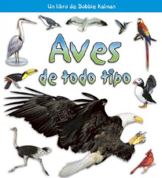 Könyv Aves de Todo Tipo Rebecca Sjonger