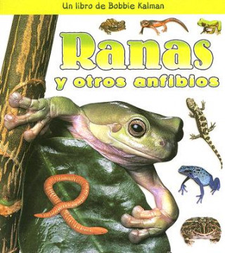 Kniha Ranas y Otros Anfibios Bobbie Kalman