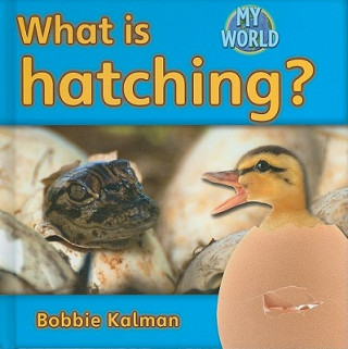 Book What Is Hatching? Bobbie Kalman