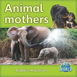 Книга Animal Mothers Bobbie Kalman