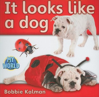 Kniha It Looks Like a Dog Bobbie Kalman