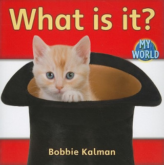 Kniha What Is It? Bobbie Kalman