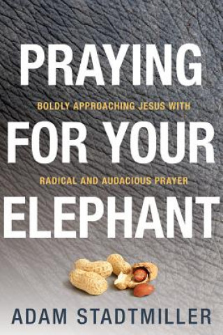 Carte Praying for Your Elephant: Boldly Approaching Jesus with Radical and Audacious Prayer Adam Stadtmiller