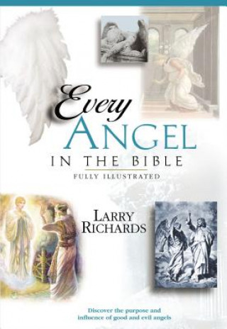 Knjiga Every Good and Fallen Angel in the Bible Larry Richards