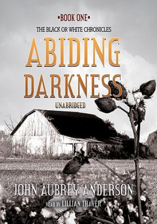 Audio Abiding Darkness John Aubrey Anderson