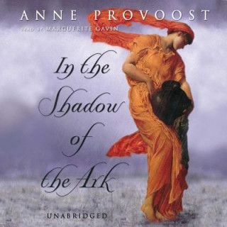 Digital In the Shadow of the Ark Anne Provoost