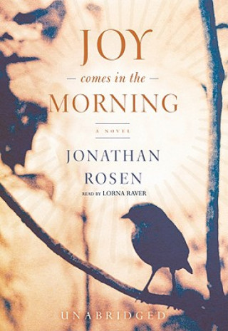 Audio Joy Comes in the Morning Jonathan Rosen