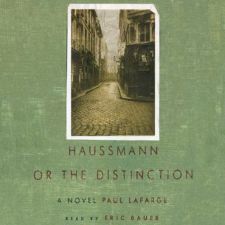 Digital Haussmann, or the Distinction Paul LaFarge